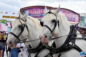 Foire aux Manèges de Lille 2023 - 09