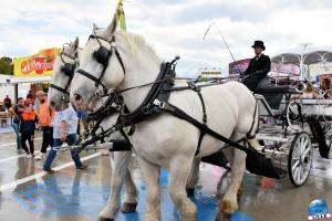 Foire aux Manèges de Lille 2023 - 12