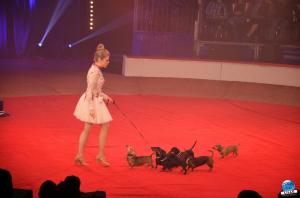 La Grande Fête Lilloise du Cirque 2018 - 08