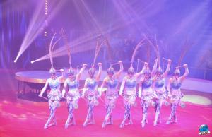 La Grande Fête Lilloise du Cirque 2018 - 09