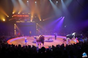 La Grande Fête Lilloise du Cirque 2018 - 14