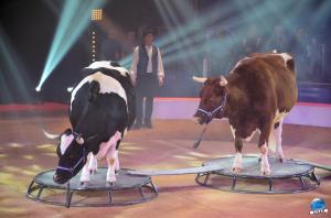 La Grande Fête Lilloise du Cirque 2018 - 16