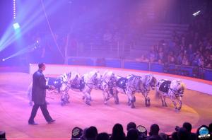 La Grande Fête Lilloise du Cirque 2018 - 35