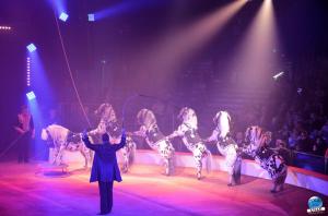 La Grande Fête Lilloise du Cirque 2018 - 36