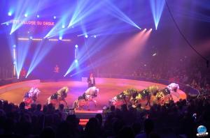 La Grande Fête Lilloise du Cirque 2018 - 38