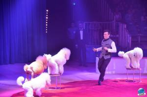 Grande Fête Lilloise du Cirque 2017 - 13