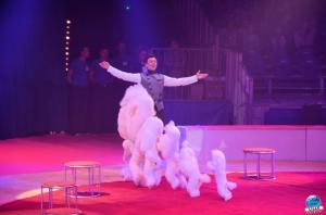 Grande Fête Lilloise du Cirque 2017 - 15
