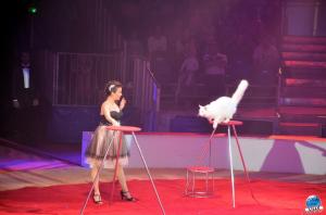 Grande Fête Lilloise du Cirque 2017 - 26