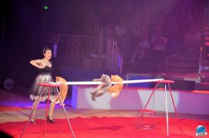 Grande Fête Lilloise du Cirque 2017 - 27