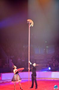 Grande Fête Lilloise du Cirque 2017 - 29