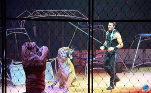 Grande Fête Lilloise du Cirque 2017 - 37
