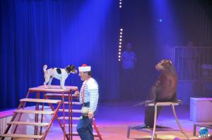 Grande Fête Lilloise du Cirque 2017 - 45