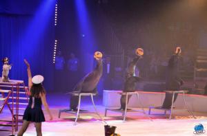 Grande Fête Lilloise du Cirque 2017 - 46