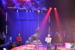 Grande Fête Lilloise du Cirque 2017 - 48