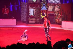 La Grande Fête Lilloise du Cirque 2019 - 04
