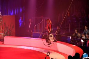 La Grande Fête Lilloise du Cirque 2019 - 06