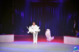 La Grande Fête Lilloise du Cirque 2019 - 40