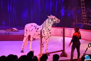 La Grande Fête Lilloise du Cirque 2019 - 48
