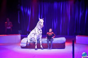 La Grande Fête Lilloise du Cirque 2019 - 49