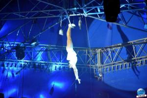 La Grande Fête Lilloise du Cirque 2019 - 58