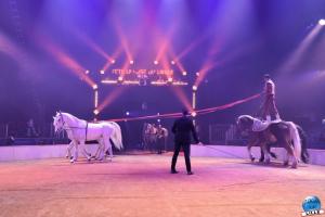 La Grande Fête Lilloise du Cirque 2022 - 35