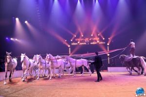 La Grande Fête Lilloise du Cirque 2022 - 37
