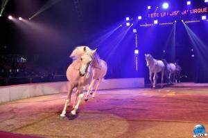 La Grande Fête Lilloise du Cirque 2022 - 55