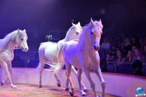 La Grande Fête Lilloise du Cirque 2022 - 56