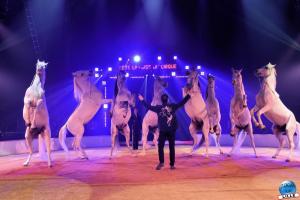 La Grande Fête Lilloise du Cirque 2022 - 57