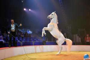 La Grande Fête Lilloise du Cirque 2022 - 62