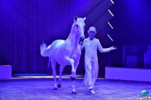 La Grande Fête Lilloise du Cirque 2023 - 22
