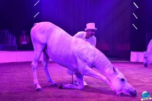 La Grande Fête Lilloise du Cirque 2023 - 23