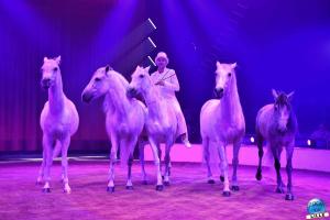 La Grande Fête Lilloise du Cirque 2023 - 24