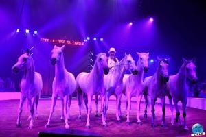 La Grande Fête Lilloise du Cirque 2023 - 26