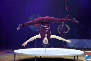 La Grande Fête Lilloise du Cirque 2023 - 42