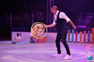 La Grande Fête Lilloise du Cirque 2024 - 10