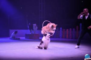 La Grande Fête Lilloise du Cirque 2024 - 14
