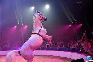 La Grande Fête Lilloise du Cirque 2024 - 63