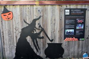 Halloween - Zoo de Lille - 2021 - 01