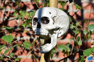 Halloween - Zoo de Lille - 2021 - 12