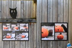 Halloween - Zoo de Lille - 2021 - 13