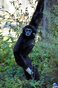 Halloween - Zoo de Lille - 2021 - 21