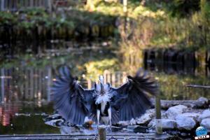 Halloween - Zoo de Lille - 2021 - 23