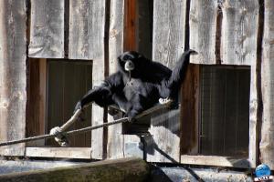 Halloween - Zoo de Lille - 2021 - 24