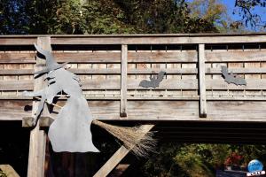 Halloween - Zoo de Lille - 2021 - 26