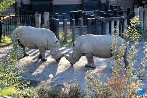 Halloween - Zoo de Lille - 2021 - 28