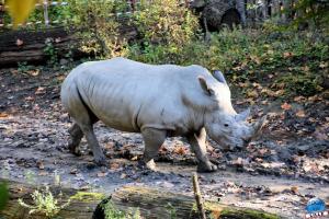 Halloween - Zoo de Lille - 2021 - 31