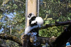 Halloween - Zoo de Lille - 2021 - 36