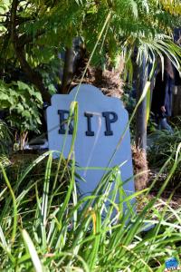 Halloween - Zoo de Lille - 2021 - 39