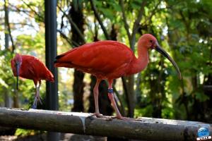 Halloween - Zoo de Lille - 2021 - 43